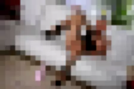 Kitty Core profile photo