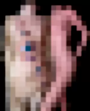 Evette's Niche profile photo