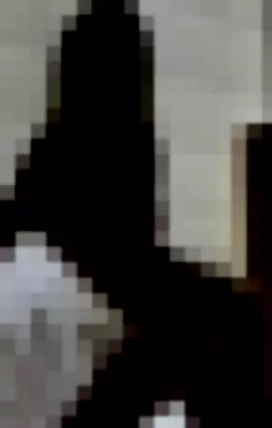 Honeypaige profile photo