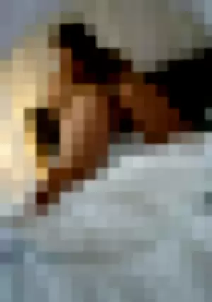 mala_terez profile photo