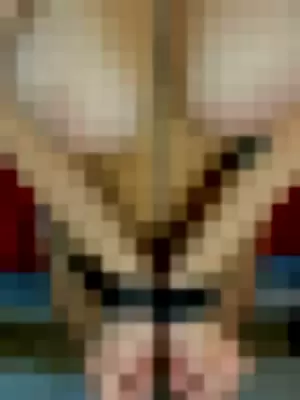 alegaucha profile photo