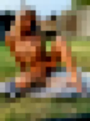 Cynthiaaluxx profile photo