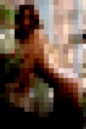 Lenna Sjooblom profile photo