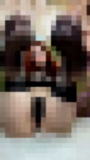 Little Finch profile photo