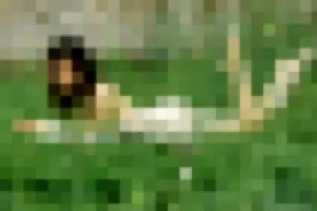 Taoliangazhai profile photo
