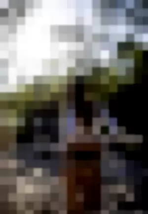 blondiebaby420 profile photo