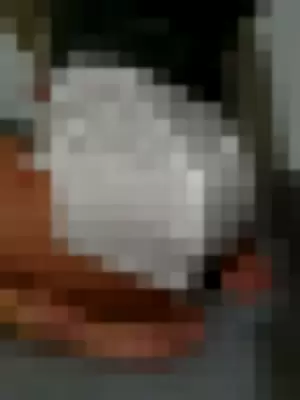 lunamoonnn profile photo