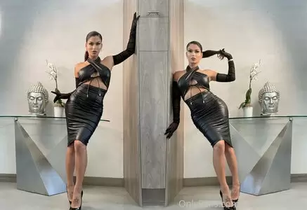 dominopresley profile photo
