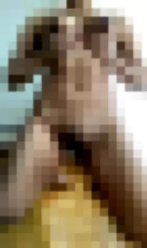 AnatomyAficionado profile photo