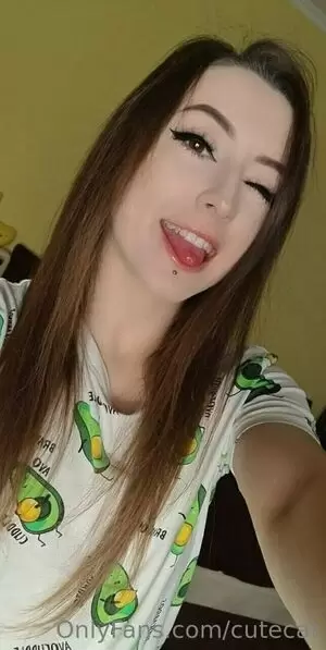 Cutecat profile photo