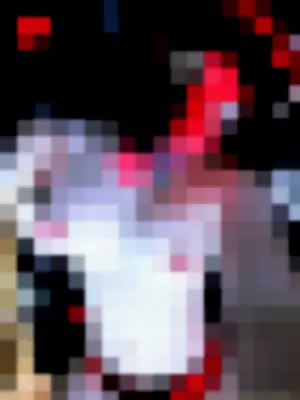 Kodi_pup profile photo