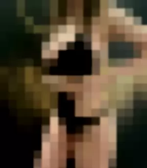 Tina Kye profile photo