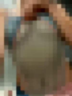 TaylorWould profile photo