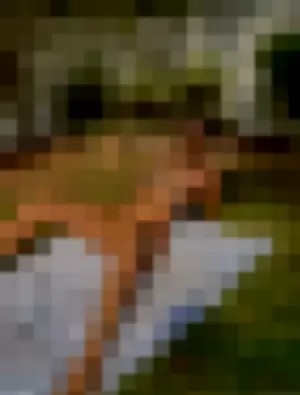 Agemg profile photo