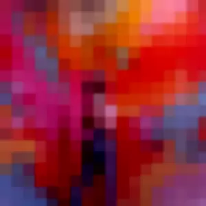 Vivi Alto profile photo