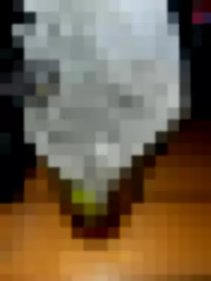 qt_jackie profile photo