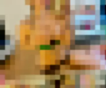 Windygirk profile photo