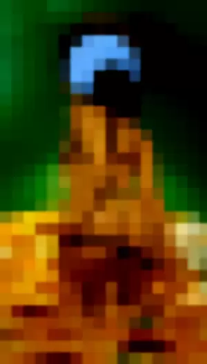 EroicaForest profile photo