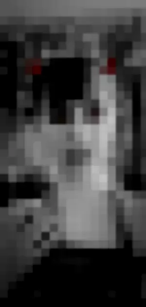 isabellaboth profile photo