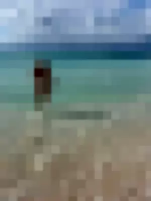 Beez ASMR profile photo