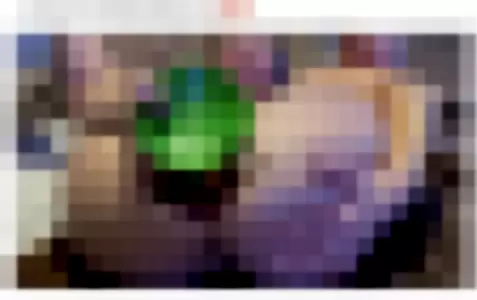 Hayleex profile photo