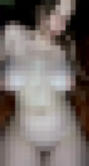 Lunalovely profile photo
