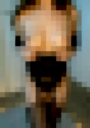 Navywild profile photo