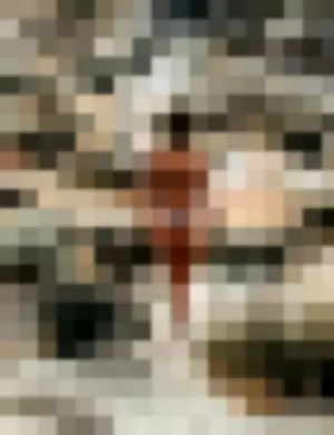 Casi Davis profile photo