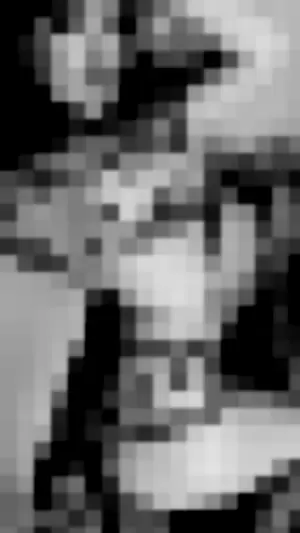 fzzgf profile photo