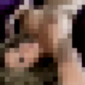 SabrinatheDLS profile photo