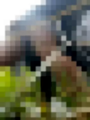 holykoley profile photo