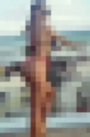 Lis Vega profile photo
