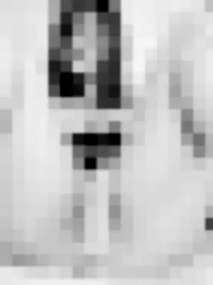 Limonemiel profile photo