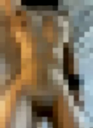 vietgodx profile photo