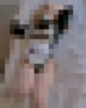 Hyoog profile photo