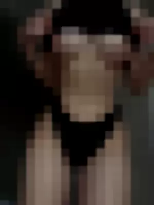 LottieLion profile photo