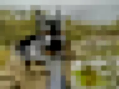 pupkurt profile photo