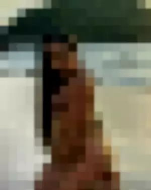 leonathaibkk profile photo