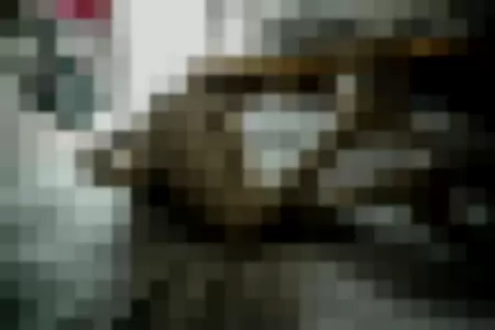 kaitrocity666 profile photo