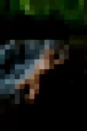 aahitskat profile photo