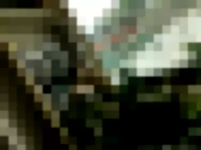 anabalfe profile photo