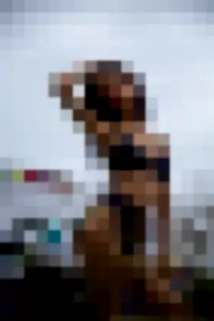 maypowpow profile photo