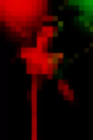 Foxy_x profile photo