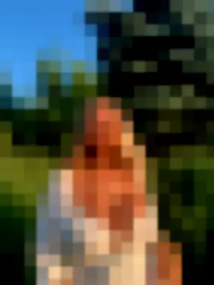 Livipip profile photo