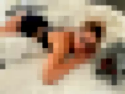 Ryleerex profile photo