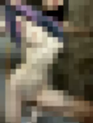 Yamaguchi_ profile photo