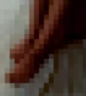 xxtinybeaxx profile photo