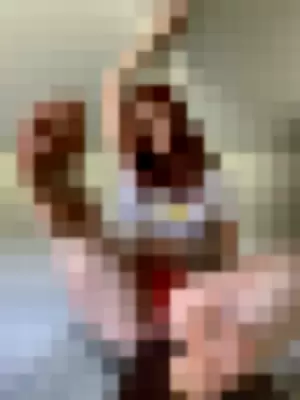 ginger-ed profile photo