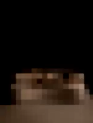 foxperry profile photo