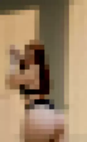 maxineaurora profile photo